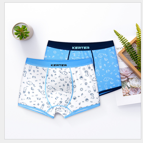 High Quality Kids Boy Underwear