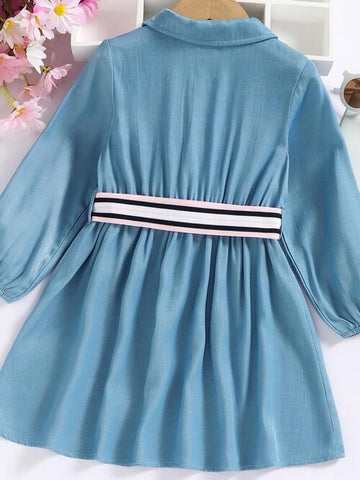 Sky Blue Half Button Long Sleeve Dress