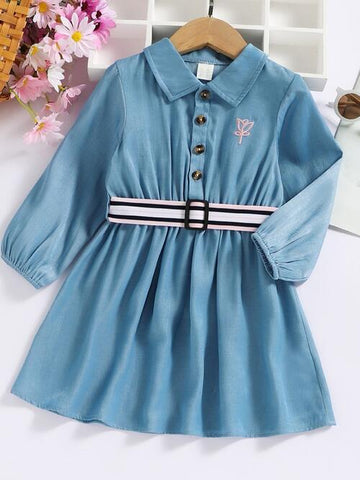 Sky Blue Half Button Long Sleeve Dress